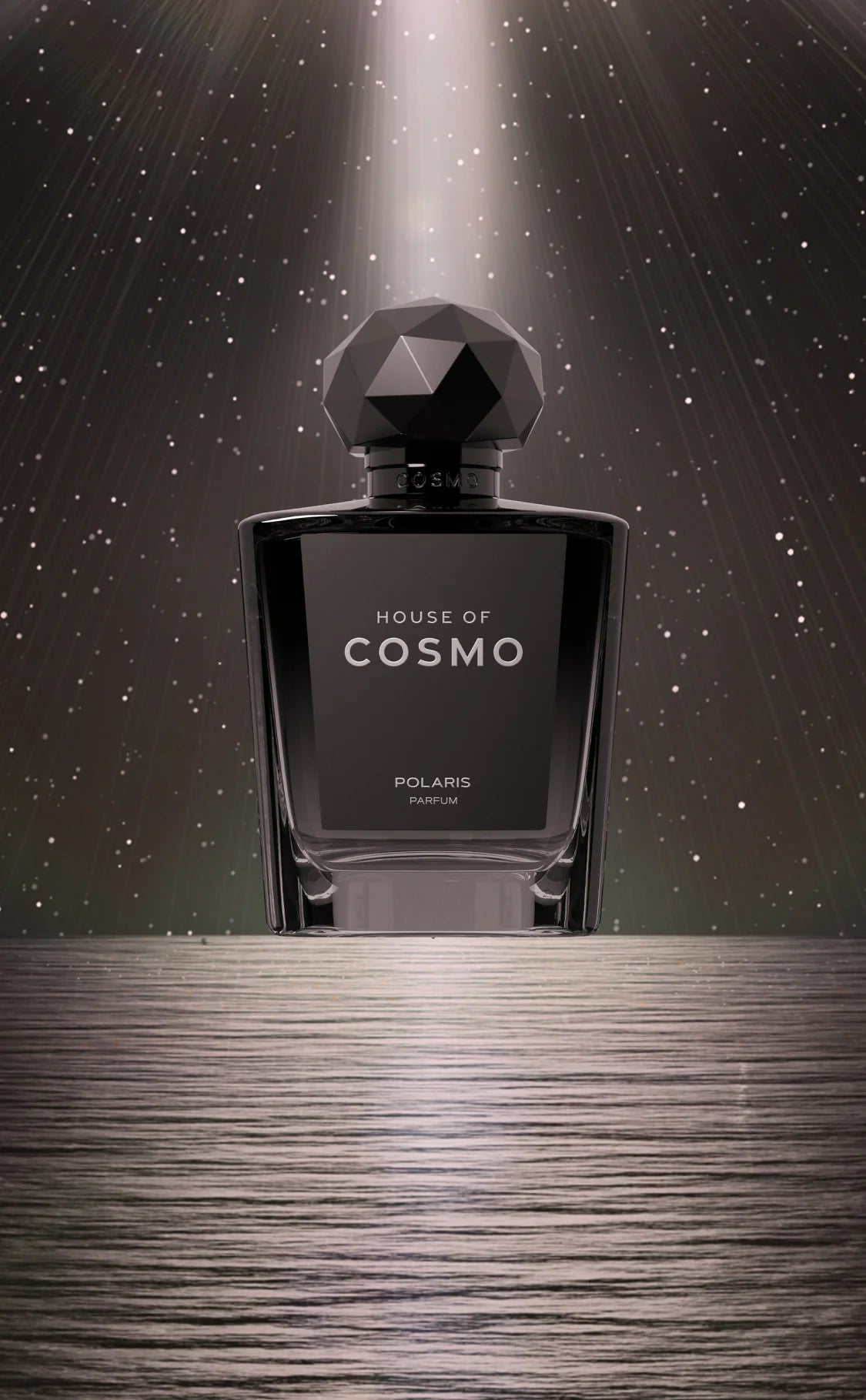 POLARIS 100ml
