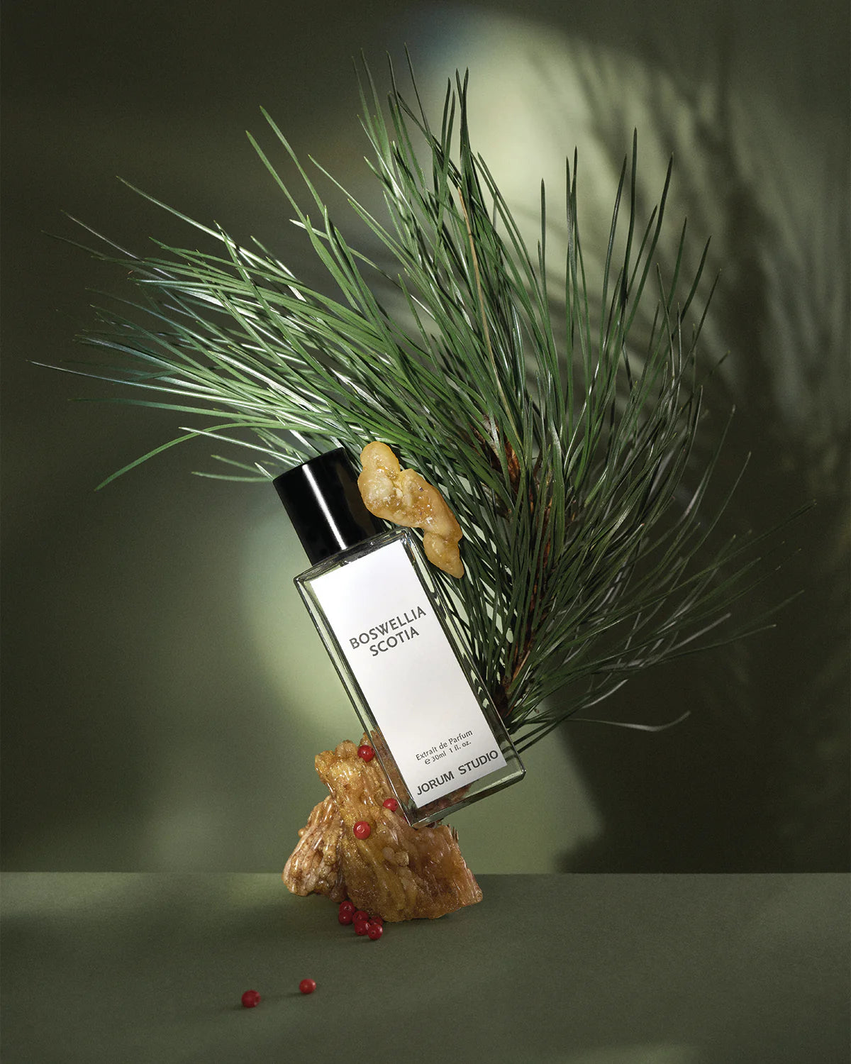 Boswellia Scotia 50ml