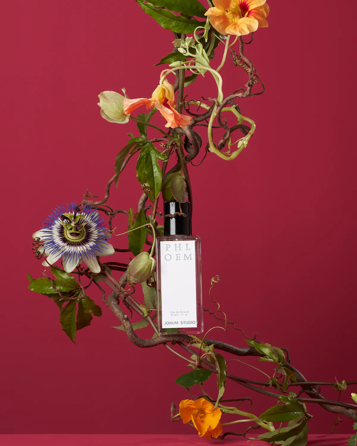 Phloem 50ml