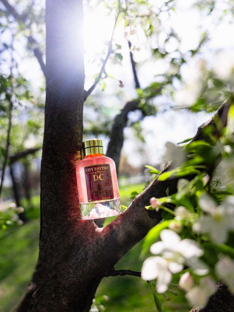 DC 50ml