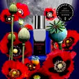 Poppy Soma 50ml