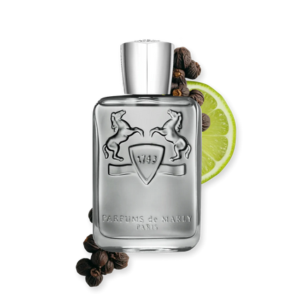 Castley 75ml