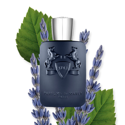 Layton 75ml