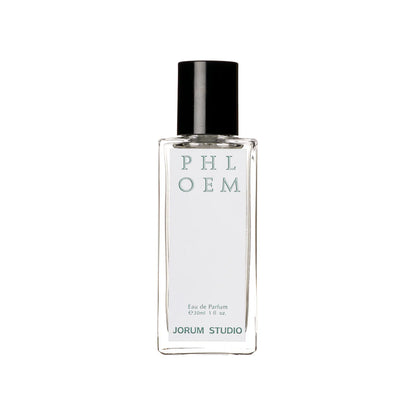 Phloem 50ml