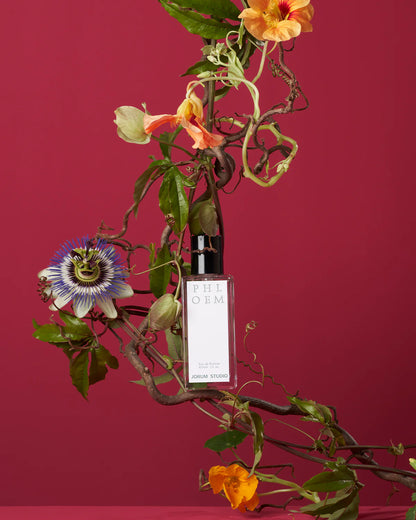 Phloem 50ml