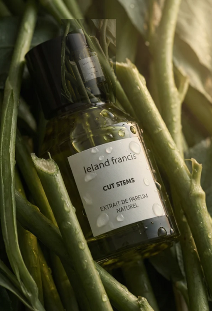 Cut Stems 30ml