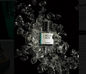 Melon Masu 50ml