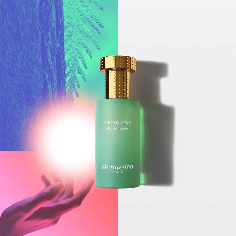 CEDARISE 50ML