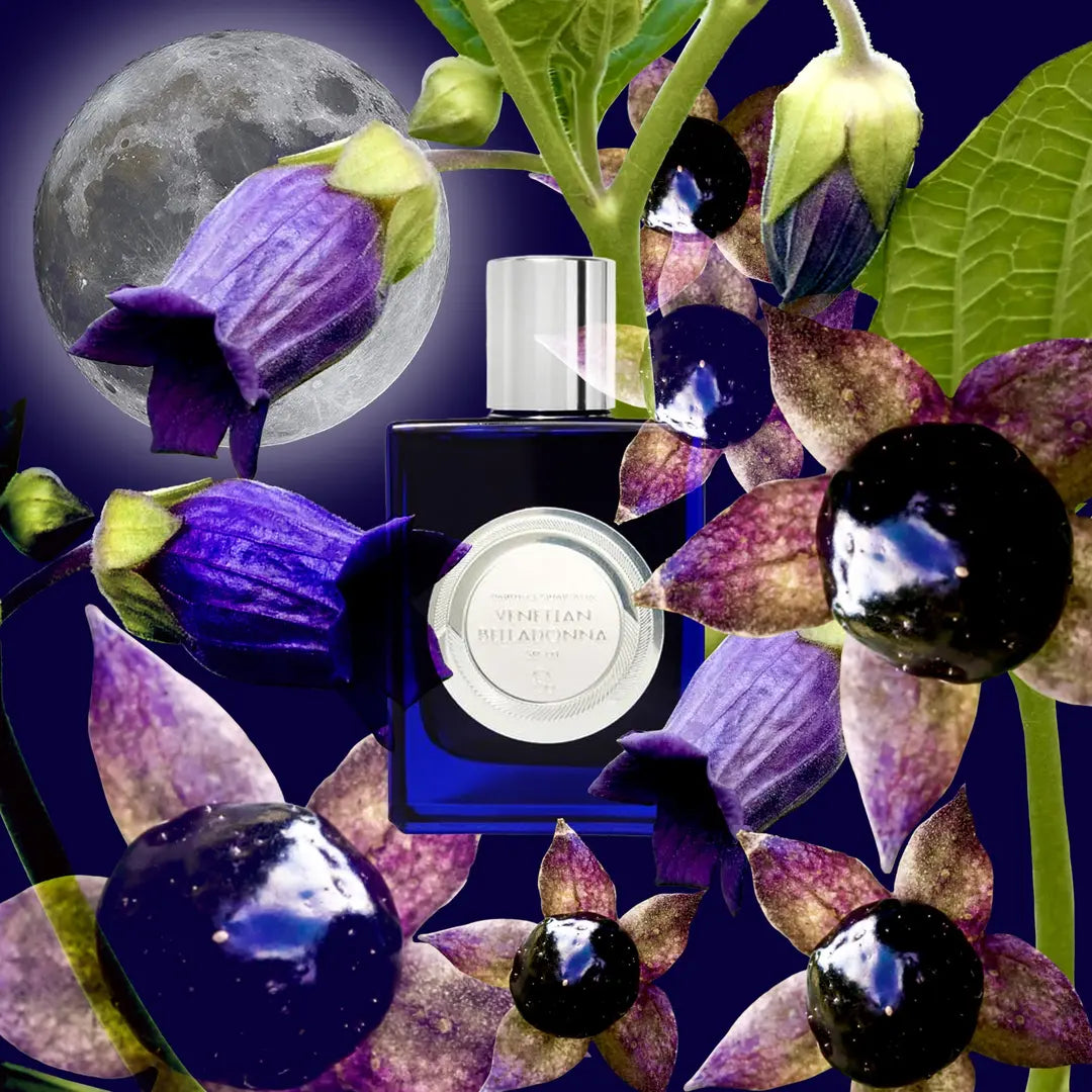 Venetian Belladonna 50ml